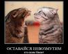 <b>Название: </b>dem (13), <b>Добавил:<b> mek<br>Размеры: 375x344, 38.5 Кб