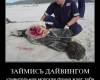 <b>Название: </b>dem (39), <b>Добавил:<b> mek<br>Размеры: 513x484, 57.4 Кб