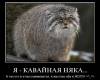 <b>Название: </b>dem (133), <b>Добавил:<b> mek<br>Размеры: 514x445, 58.0 Кб