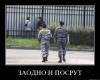 <b>Название: </b>dem (415), <b>Добавил:<b> mek<br>Размеры: 513x416, 52.7 Кб